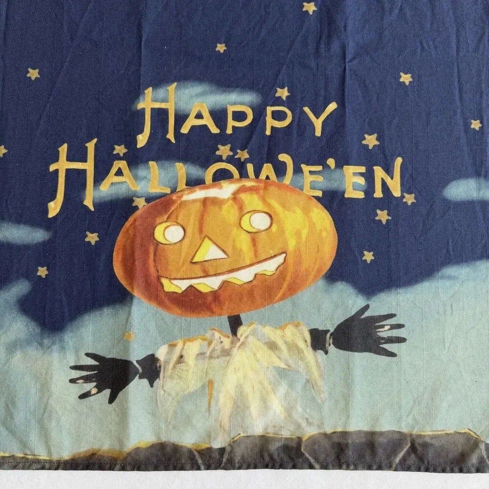Williams Sonoma VINTAGE HALLOWEEN Tea Towels 20 x 30 Set of 2 Pumpkin Fall